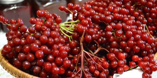 Gelatina di marmellata "Kalina red"