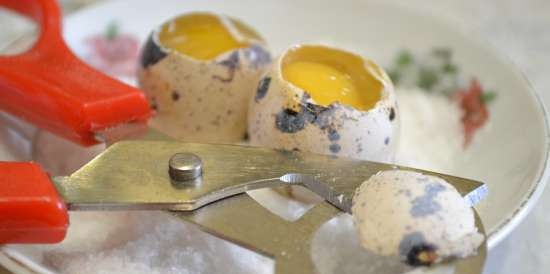 Eggshell cleaner + quail egg cutter