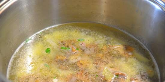 Fresh cabbage soup (reconstituted from frozen stock)