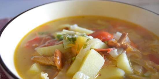 Fresh cabbage soup (reconstituted from frozen stock)