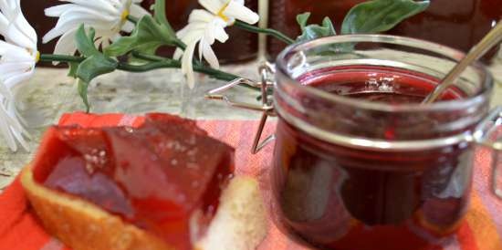 Gelatina di marmellata "Kalina red"