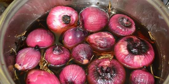 Cebolla roja, "frutas confitadas (frutas glace)" en escabeche