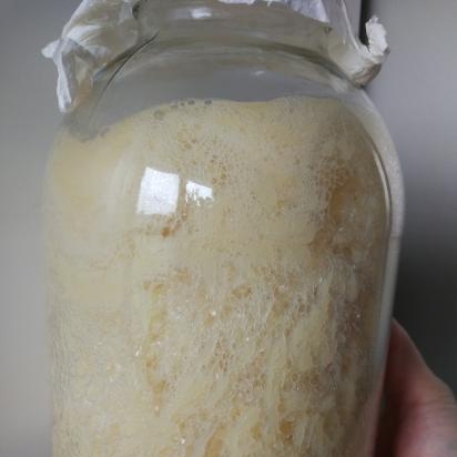 ยีสต์นิรันดร์มันฝรั่งฮอป (Sourdough ไม่มีแป้ง) สูตรการอบ