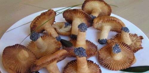 Funghi al miele (biscotti come sottobosco)