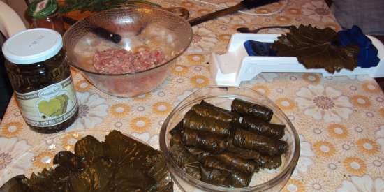 Dolma in de multikoker Bork U800