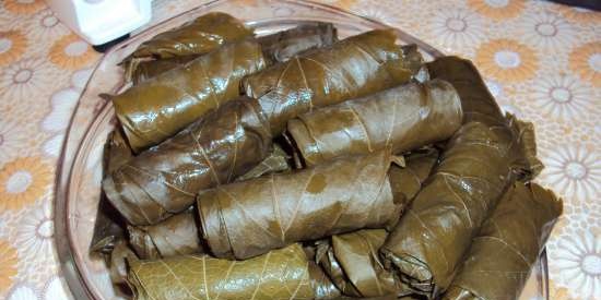 Dolma