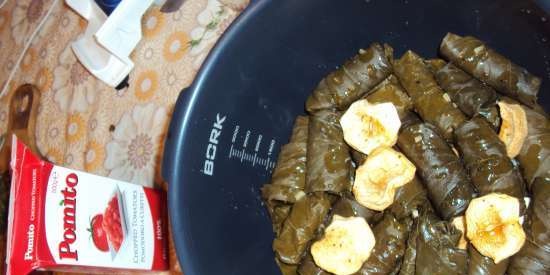 Dolma in the multicooker Bork U800