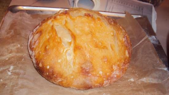 Ciabatta (không có hàng loạt)