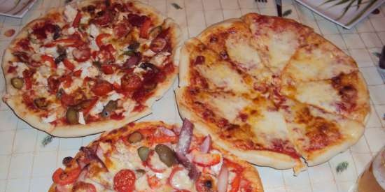 Forn de pizza