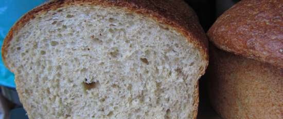 Whole-flour Health Bread