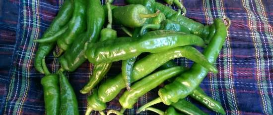 Green pepper na may miso paste (chaem)