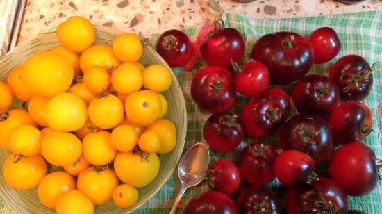 Tè fermentato a base di foglie di giardino e piante selvatiche (master class)