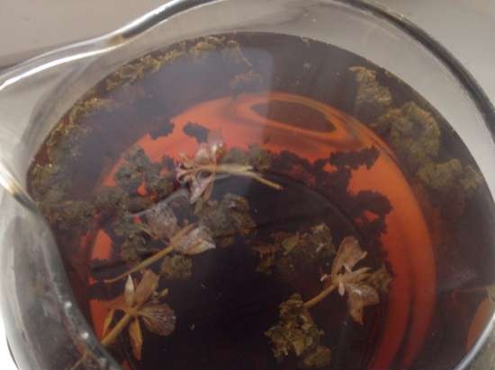 Té fermentado elaborado con hojas de jardín y plantas silvestres (clase magistral)