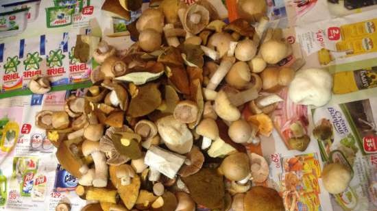 Prelucrarea primară a agaricului de miere