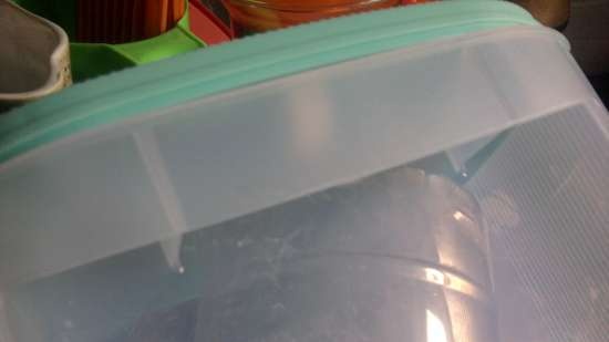 Tupperware จานพลาสติก - บทวิจารณ์