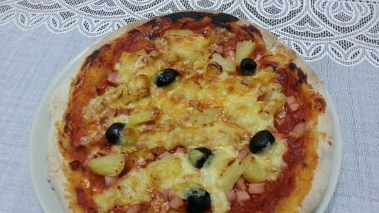 horno para pizzas