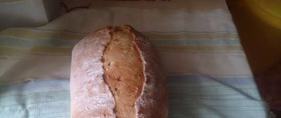 Pane preparato con lievito di limone