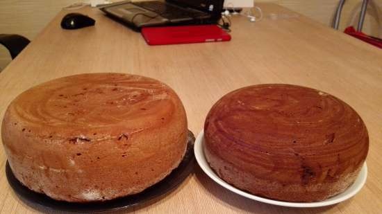 Isang napaka-simpleng honey cake (multicooker Aurora)