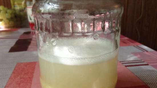 Liquid yeast based on fruits, vegetables, herbs, tea ...