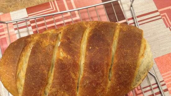 Pane alle mele con lievito liquido in una macchina per il pane