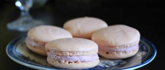 Macarons de Alain Ducasse