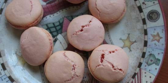 Macarons de Alain Ducasse