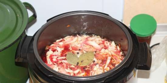 Borscht amb brou de pollastre en un saturn multicooker (Saturn ST-MC9184)