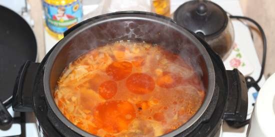 Borscht with chicken broth in a multicooker Saturn (Saturn ST-MC9184)