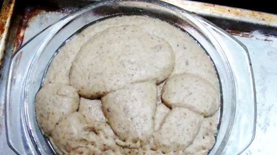 Pane con funghi secchi e alghe