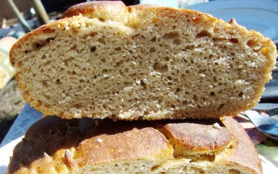 Pane con funghi secchi e alghe