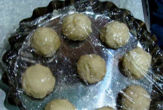 Pane olandese croccante (di legno) con lievito liquido