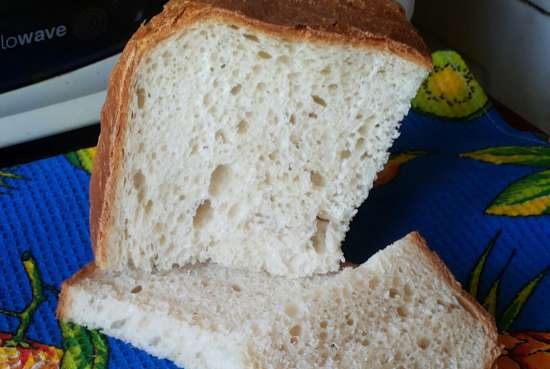 Utilizzando l'infuso di kombucha per l'impasto del pane