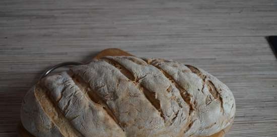 Rustic bread on dough according to Kalvel (oven)