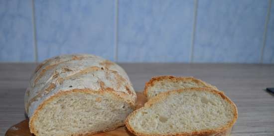 Rustiek brood op deeg volgens Kalvel (oven)