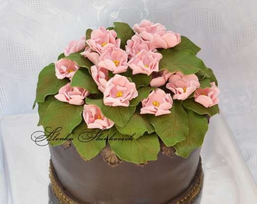 Torte di fiori