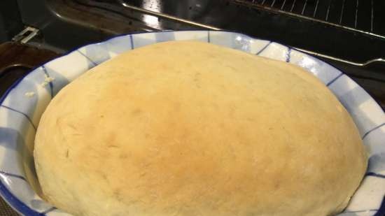 Frutos secos debajo de bolas de masa en el horno (Hutzelkloss)