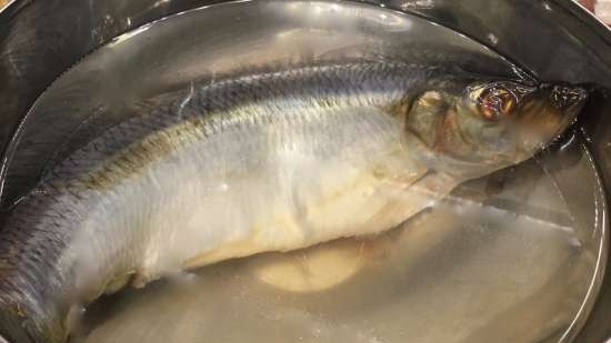 Ingelegde haring in het Zweeds - Glazier's Herring