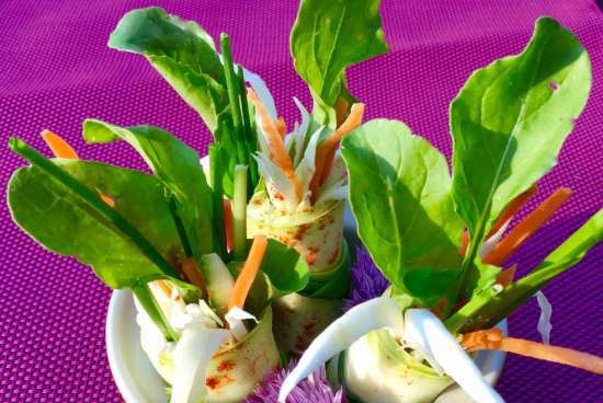 Young courgette rolls (zucchini) with young cheese and vegetables