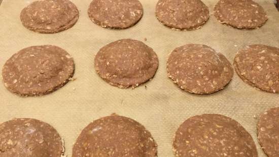 Talers de avena y chocolate (Schoko-Haferflocken Taler)