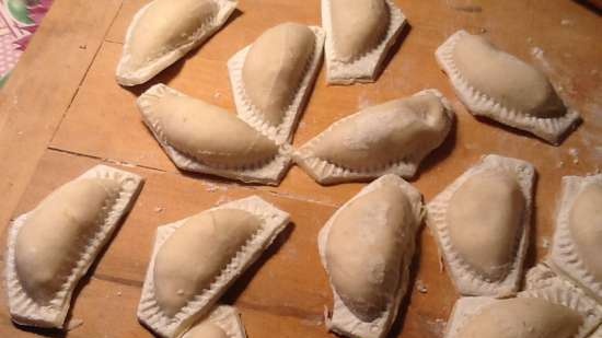 Dumplings en dumplingsvorm