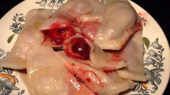 Dumplings en dumplingsvorm