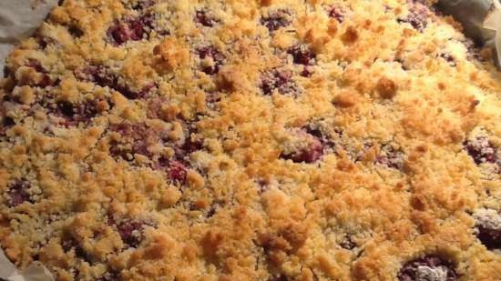 Berry squares (mirtillo-lampone)