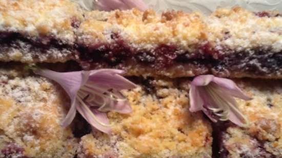 Berry squares (mirtillo-lampone)