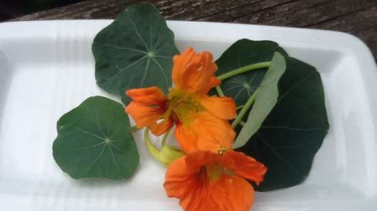 Nasturtium Snack Butter