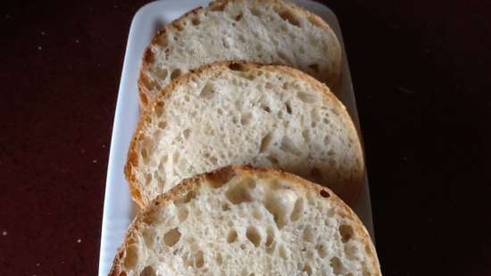 Pain de Campagne di Peter Reinhart (forno)