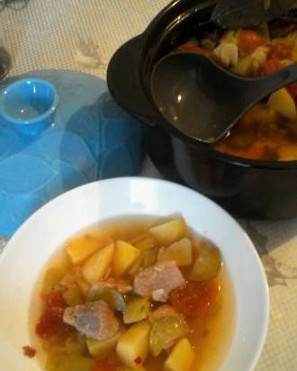 Pot of meat and vegetables with broth