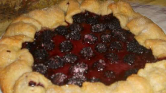 Crostata met abrikozen