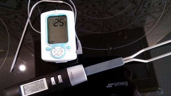 Thermometers, oven temperature probes