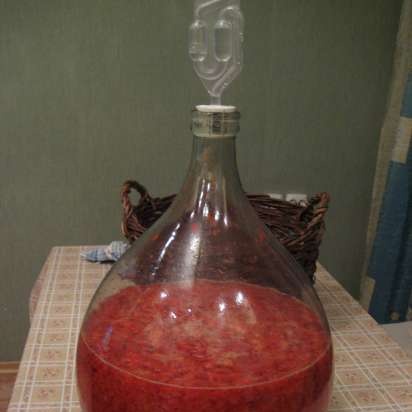 Homemade wine Strawberry