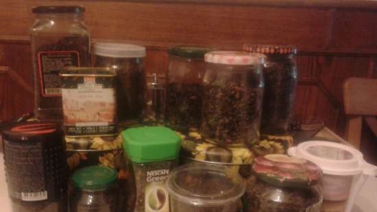 Té fermentado elaborado con hojas de jardín y plantas silvestres (clase magistral)